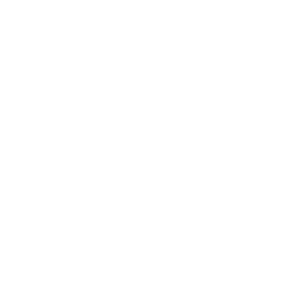 Nikon-01